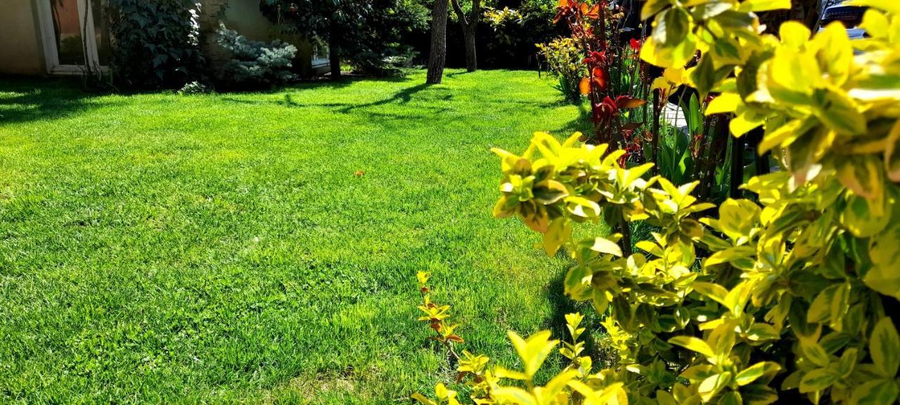 Green Garden Tbilisi Exterior photo